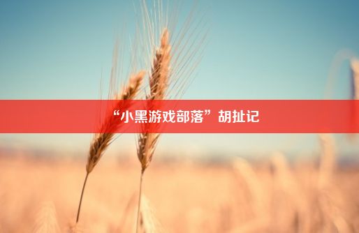 “小黑游戏部落”胡扯记