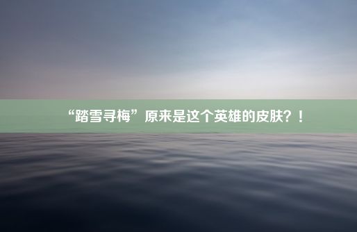 “踏雪寻梅”原来是这个英雄的皮肤？！