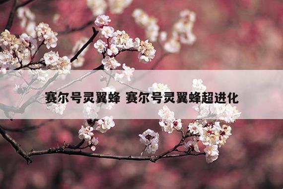 “蜂”狂进化：小莹蜂的绝顶蜕变