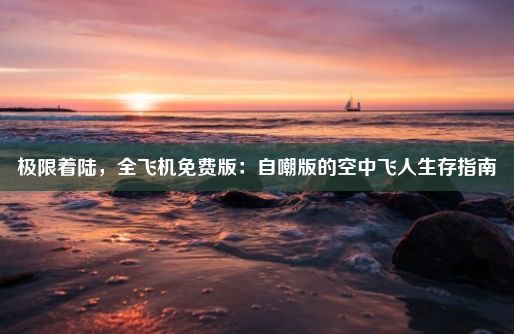 极限着陆，全飞机免费版：自嘲版的空中飞人生存指南