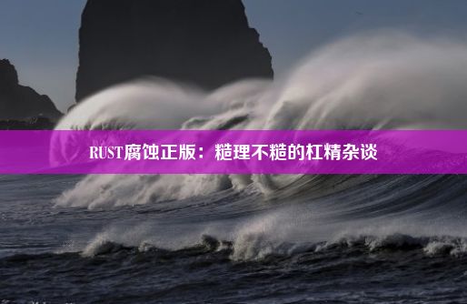 RUST腐蚀正版：糙理不糙的杠精杂谈