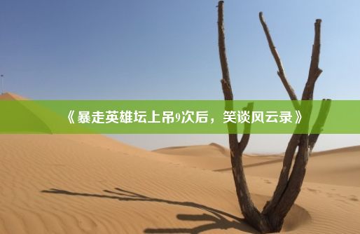 《暴走英雄坛上吊9次后，笑谈风云录》