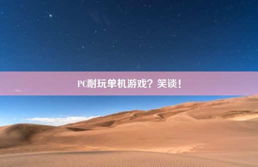 PC耐玩单机游戏？笑谈！