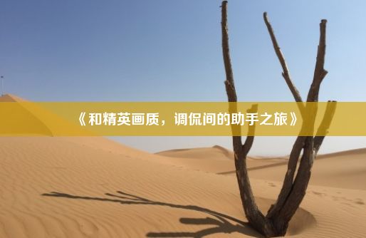 《和精英画质，调侃间的助手之旅》