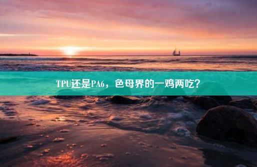 TPU还是PA6，色母界的一鸡两吃？