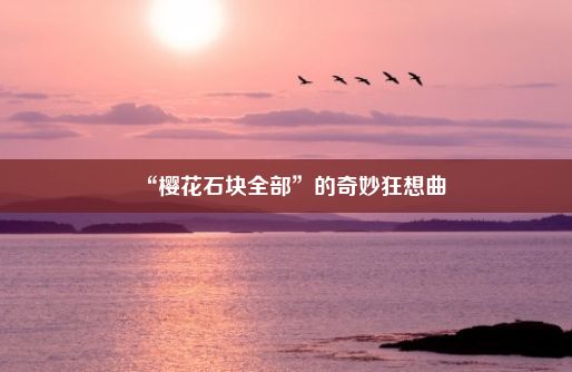 “樱花石块全部”的奇妙狂想曲